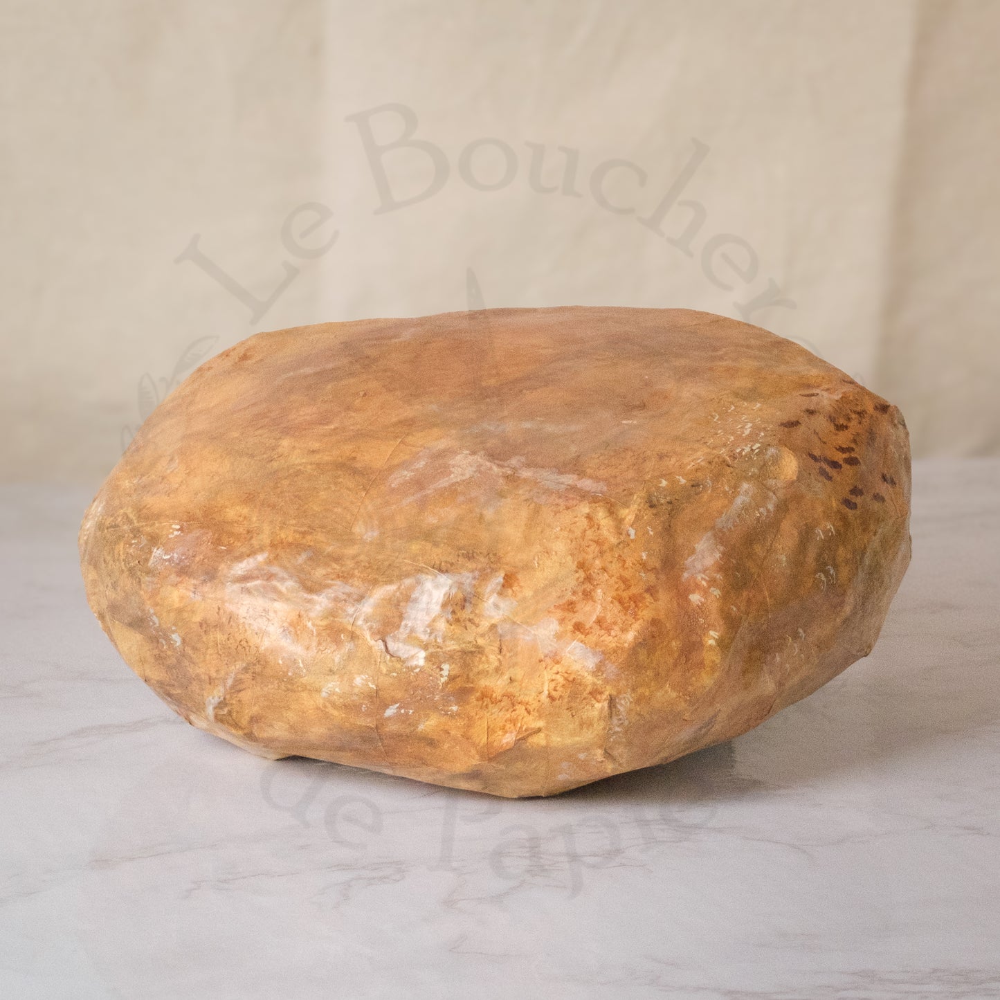Papier Mâché Portobello Mushroom